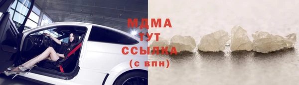 прущие грибы Новодвинск