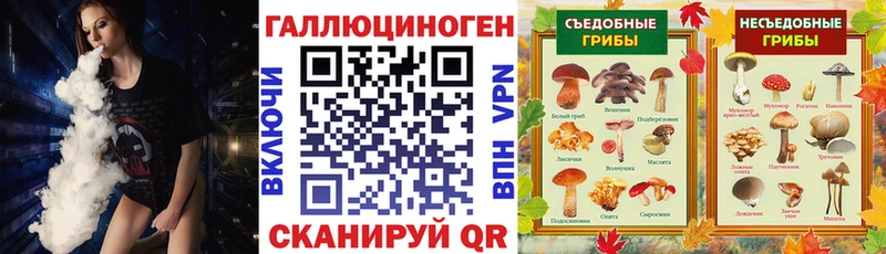 Псилоцибиновые грибы Psilocybe  цены наркотик  Югорск 