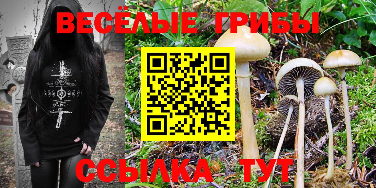 Галлюциногенные грибы Psilocybe  Галлюциногенные грибы MAGIC MUSHROOMS  Вход с VPN  Югорск 